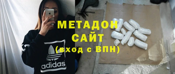 индика Нея