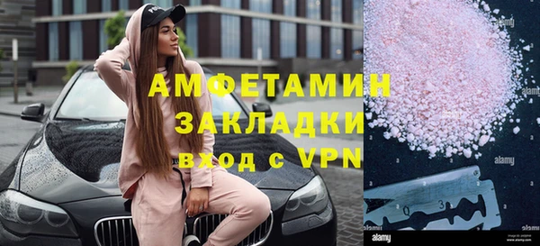 индика Нея