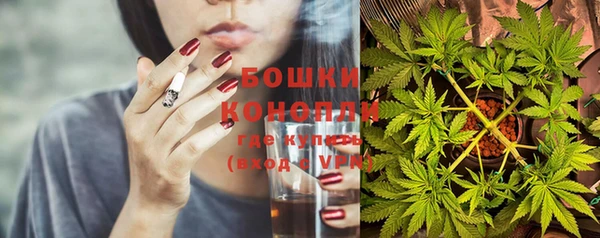 индика Нея