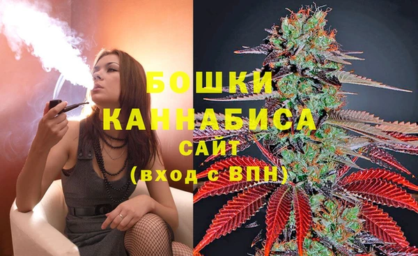 стаф Нефтекумск