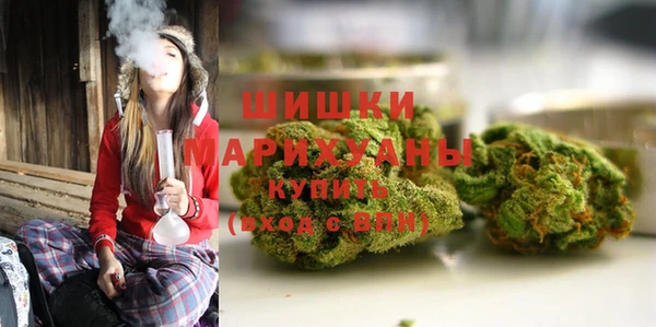 индика Нея