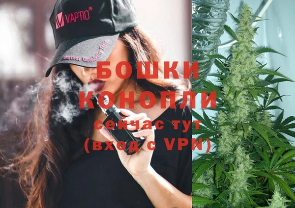индика Нея
