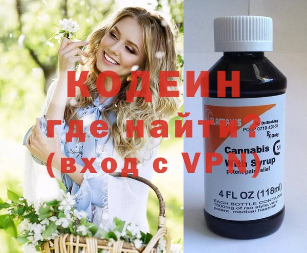 индика Нея