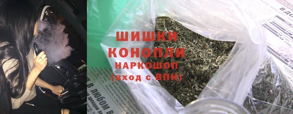 индика Нея