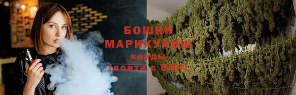 индика Нея