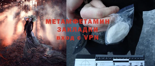 индика Нея