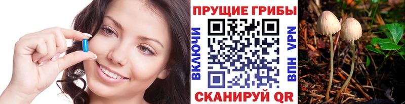 Купить где  Нижнеудинск  Псилоцибиновые грибы мицелий 